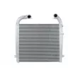 Intercooler, échangeur THERMOTEC [DASC007TT]