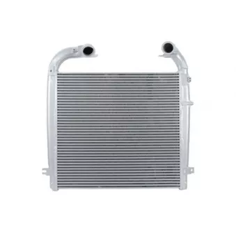 Intercooler, échangeur THERMOTEC OEM 1949827
