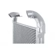 THERMOTEC DASC007TT - Intercooler, échangeur