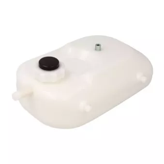 Vase d'expansion, liquide de refroidissement THERMOTEC DBR021TT pour RENAULT MEGANE 1.8 Rsi - 109cv