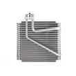 Evaporateur climatisation THERMOTEC [KTT150003]