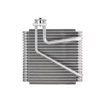 Evaporateur climatisation THERMOTEC OEM 1041278