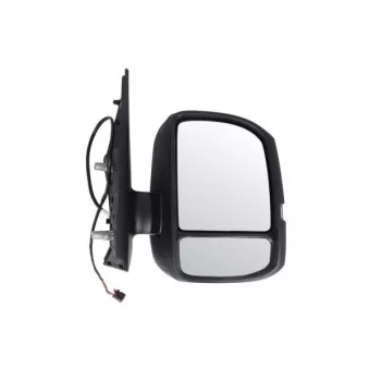 Rétroviseur extérieur BLIC 5402-01-1999313P pour VOLKSWAGEN CRAFTER 2.0 TDI 4motion - 177cv