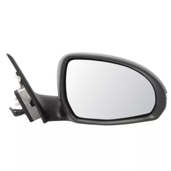 Rétroviseur extérieur BLIC 5402-02-2475311P