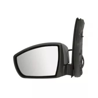 Rétroviseur extérieur BLIC OEM 2057117