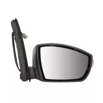 Rétroviseur extérieur BLIC 5402-03-0363313P