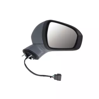 Rétroviseur extérieur BLIC OEM 5323942