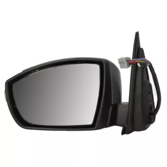 Rétroviseur extérieur BLIC OEM 2057115