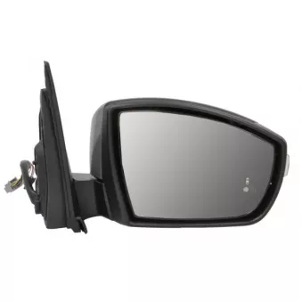 Rétroviseur extérieur BLIC OEM 4507349