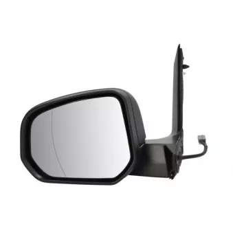 Rétroviseur extérieur BLIC 5402-03-2402310P