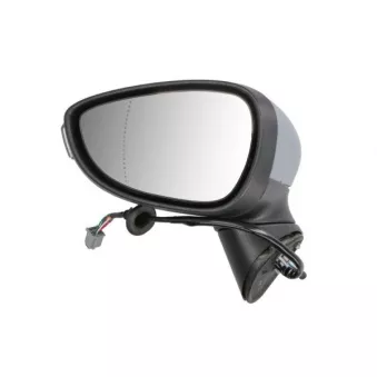 Rétroviseur extérieur BLIC 5402-04-1111395P pour FORD FIESTA 1.4 TDCi - 70cv