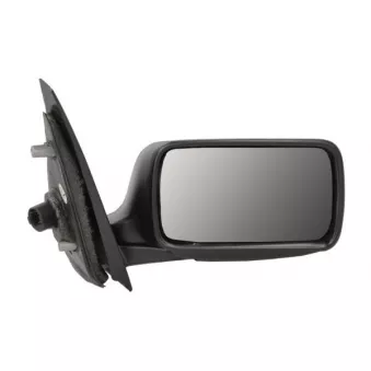 Rétroviseur extérieur BLIC 5402-04-1121270P pour JEEP WRANGLER 2.0 16V Quadrifoglio - 155cv