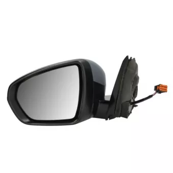 Rétroviseur extérieur BLIC 5402-04-2304310P