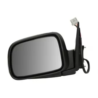 Rétroviseur extérieur BLIC 5402-04-9929925P