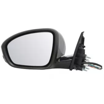 Rétroviseur extérieur BLIC 5402-09-1243312P