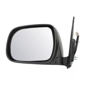 Rétroviseur extérieur BLIC 5402-19-2002495P pour ISUZU MIDI 2.5 D-4D - 88cv