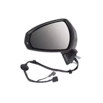 Rétroviseur extérieur BLIC 5402-25-0047312P