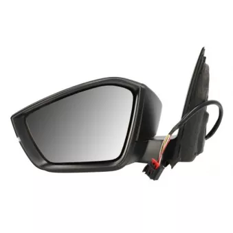 Rétroviseur extérieur BLIC 5402-43-2195310P