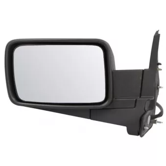 Rétroviseur extérieur BLIC 5402-55-0615314P