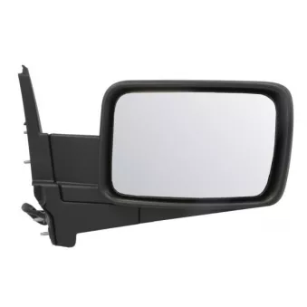 Rétroviseur extérieur BLIC 5402-55-0615315P