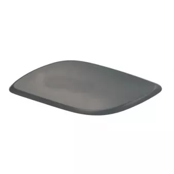 Enjoliveur, pare-chocs avant gauche BLIC 5513-00-7521925P