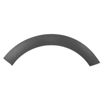 Baguette et bande protectrice, aile arrière droit BLIC 5703-04-0532596Q