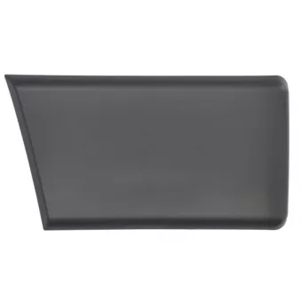 Baguette et bande protectrice, panneau latérale avant droit BLIC 5703-04-2097588P