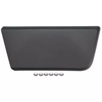 Baguette et bande protectrice, porte avant droit BLIC 5703-04-2098572P