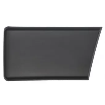 Baguette et bande protectrice, panneau latérale avant gauche BLIC 5703-04-2098575P