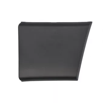 Baguette et bande protectrice, panneau latérale avant gauche BLIC 5703-04-2098577P