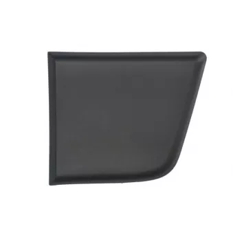 Baguette et bande protectrice, panneau latérale avant gauche BLIC 5703-04-2098581P