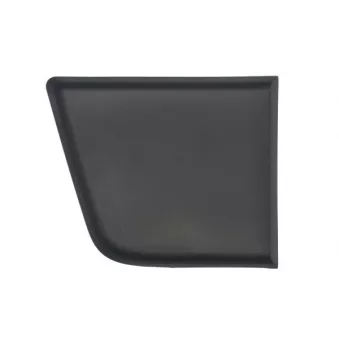 Baguette et bande protectrice, panneau latérale avant droit BLIC 5703-04-2098582P