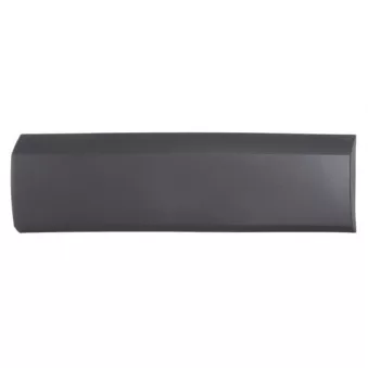 Baguette et bande protectrice, panneau latérale BLIC 5703-04-2517574BP