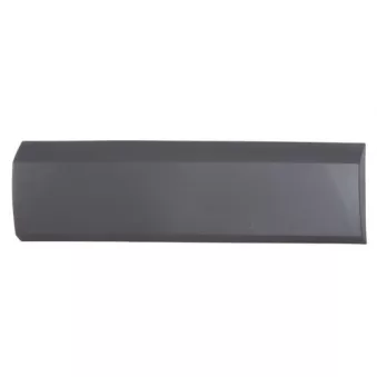 Baguette et bande protectrice, panneau latérale BLIC 5703-04-2517574P