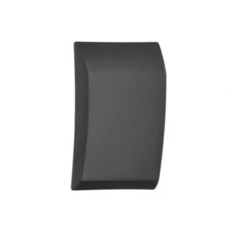 Baguette et bande protectrice, panneau latérale avant gauche BLIC 5703-04-2518571P