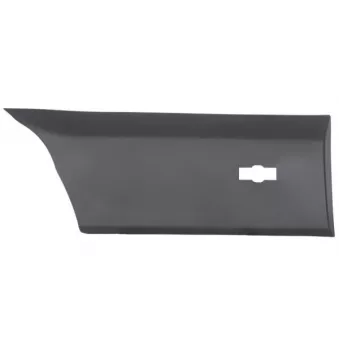 Baguette et bande protectrice, aile arrière droit BLIC 5703-04-2518592BP