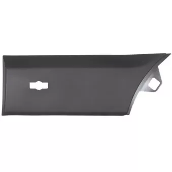 Baguette et bande protectrice, aile avant gauche BLIC 5703-04-2518593BP