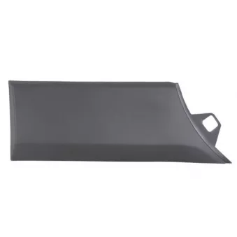 Baguette et bande protectrice, aile arrière droit BLIC 5703-04-2518596BP