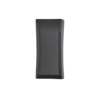 Baguette et bande protectrice, panneau latérale avant gauche BLIC 5703-04-2617581P