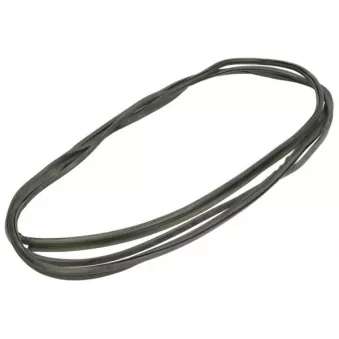 Baguette et bande protectrice, pare-brise avant droit BLIC 5703-04-6037030Q