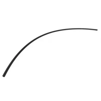 Baguette et bande protectrice, pare-brise avant droit BLIC 5703-04-6037101Q