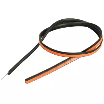 Baguette et bande protectrice, pare-brise avant droit BLIC 5703-04-6037165Q pour NISSAN NV250 330 d xDrive - 258cv