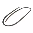 Baguette et bande protectrice, pare-brise avant droit BLIC [5703-04-6037429Q]