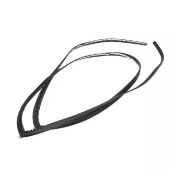 Baguette et bande protectrice, pare-brise BLIC OEM 86130D3000