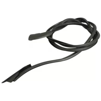 Baguette et bande protectrice, pare-brise avant droit BLIC 5703-04-6037570Q pour MAZDA 323 2.0 D - 71cv