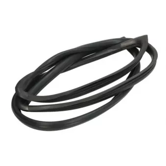 Joint d'étanchéité, pare-brise avant droit BLIC OEM 7271006J00