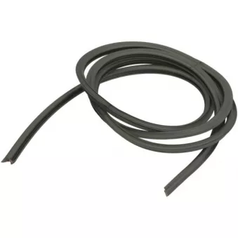 Baguette et bande protectrice, pare-brise avant droit BLIC OEM 72501HB0A