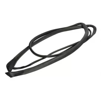 Joint d'étanchéité, pare-brise avant droit BLIC 5703-04-6037677Q