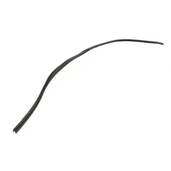 Baguette et bande protectrice, pare-brise avant droit BLIC OEM 0163861
