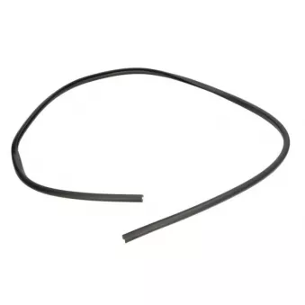 Baguette et bande protectrice, pare-brise avant droit BLIC 5703-04-6037690Q pour AUDI A4 1.3 CDTI - 70cv